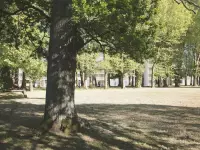 Aperçu 2 réf. #751