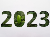 Décret Pinel+ - Le nombre 2023 avec du feuillage en arrière-plan