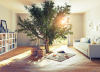 Politique du logement – Un arbuste dans le salon d’un appartement pour évoquer l’importance des végétaux dans un logement