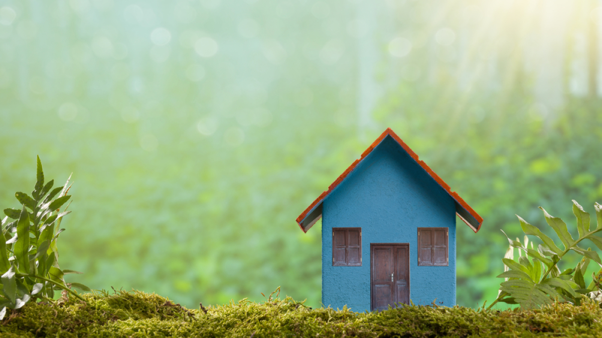 Politique du logement – Maison bleu miniature dans un environnement naturel