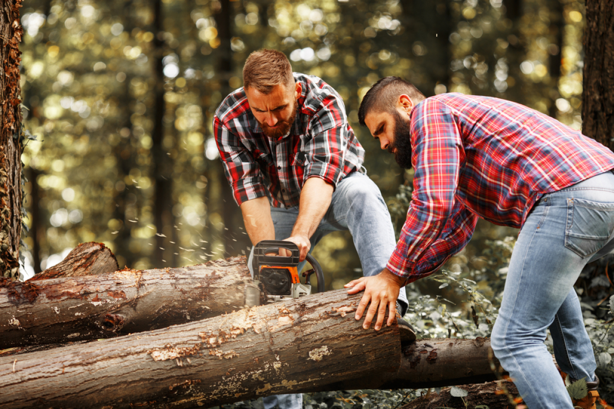 RE 2020 – deux bucherons coupent un tronçon de bois