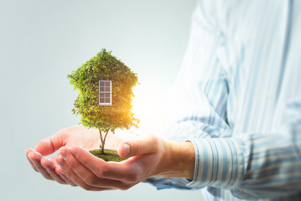 immobilier éco responsable – un homme tient une maison-arbre dans ses mains